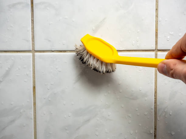 Best Attic Mold Removal  in Bellevue, IA
