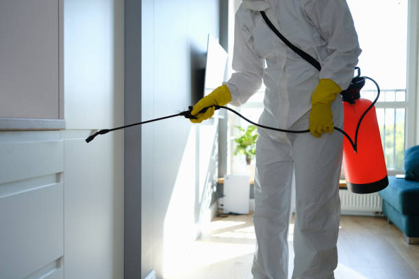 Best Toxic Mold Removal  in Bellevue, IA